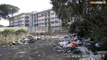 VIDEO | Bastogi chiama, il Comune risponde. Veloccia: "Ecco il progetto per rilanciarla"