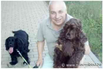 Thierry (63) in zak en as nadat Cocker Spaniël Thibby overlijdt na aanrijding: “Moedwillig wat mij betreft”