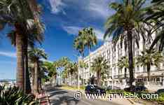 Cannes Lions launches creator learning, networking program