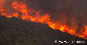Waldbrand: Wie sich Griechenland gegen eine neue Saison wappnet