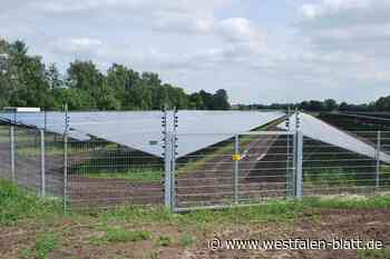Schwierige Diskussionen über Freiflächen-Photovoltaik