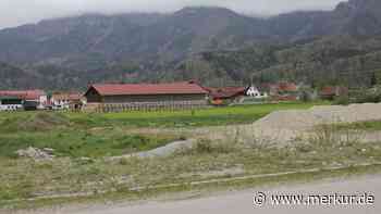 Nach Absage für Whiskey-Manufaktur: Investor wehrt sich und schaltet Anwalt ein – „Hatte keine Sicherheit“