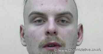 Laughing Heaton sex attacker jailed for groping stranger at Newcastle music festival