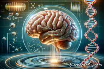 Neuroscience Breakthrough Unveils How We Learn and Remember