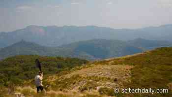 Scientists Discover Hundreds of Unique Species in Africa’s Newest Ecoregion