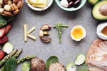 Brain Fuel: Stanford Shows Ketogenic Diet Improves Severe Mental Illness