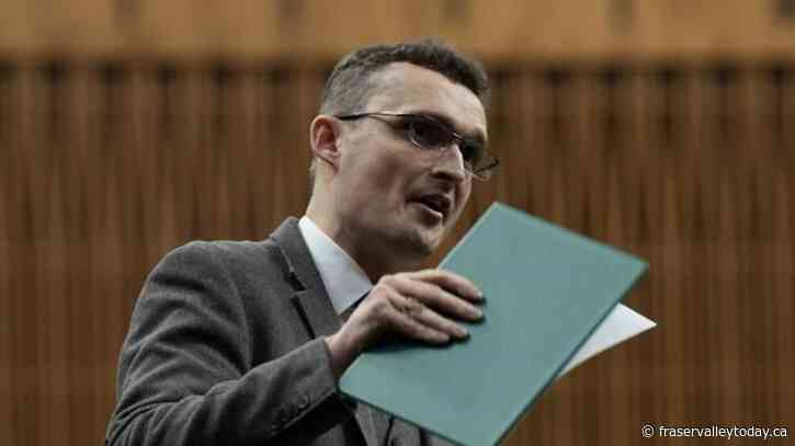 Conservative immigration policy should focus on the goal of citizenship: Tory critic