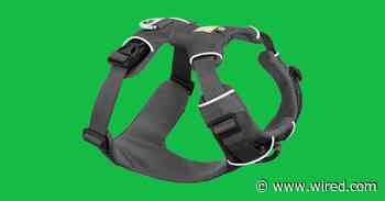 21 Best Dog Accessories (2024): Dog Beds, Pet Cameras, Carriers, and More