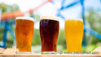 SeaWorld celebrates 60th anniversary with free beer