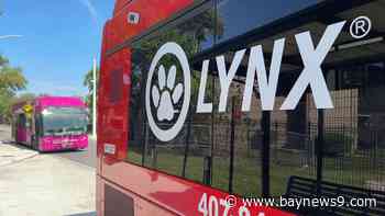 U.S. Transportation Department backs 5 Florida projects to boost ability to withstand weather, climate change