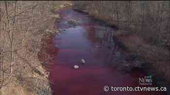 Chemical spill from concert venue spills into Etobicoke Creek, spreads to 3 locations downstream