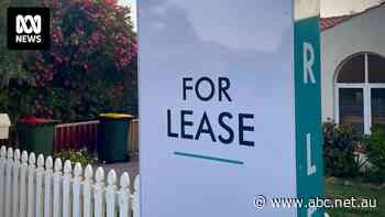 'Priced out of the market': Some lower income households have given up looking for a place to live