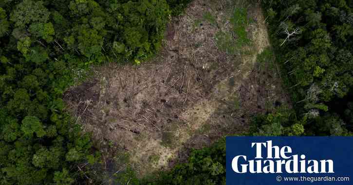 Colombian Amazon deforestation surges as armed groups tighten grip