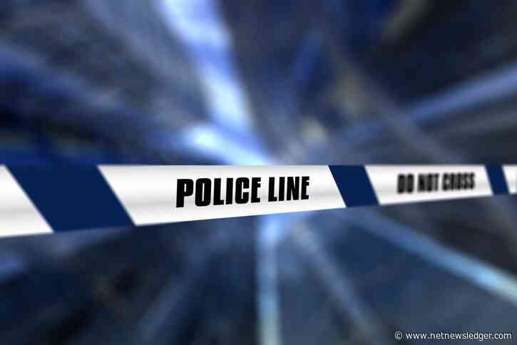 April 11 2024: Winnipeg Police Department Crime Report