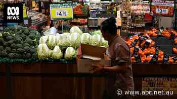 Australians are consuming less fruit, vegetables and milk — here's what that looks like