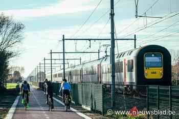 Tien jaar fietssnelwegen wordt gevierd: “Voorbije vijf jaar helft meer fietsers op de snelweg”