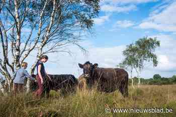Ticketverkoop Festival In Vennen en Velden is al gestart