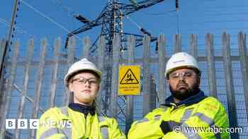 Warning as man attempts cat rescue at substation