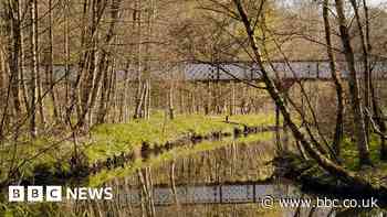 Boy, 17, dies in canoe accident