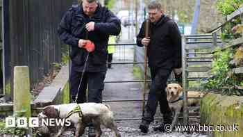 Bin collections halted after human torso discovery