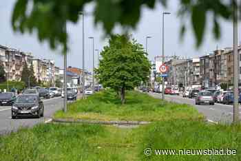 Verloederd pand langs Oosterweelwerken wordt versneld afgebroken door overlast