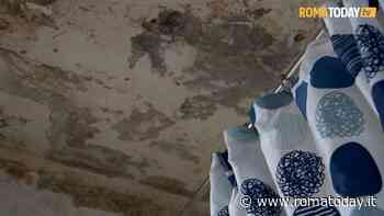 VIDEO | Benvenuti nella case del Comune di Roma dove si vive tra infiltrazioni d'acqua e muffa