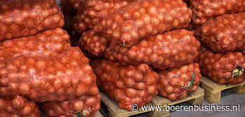 Het is vlees noch vis in de uienexport