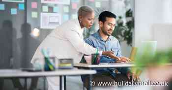 Experts and entrepreneurs offered chance to run own IT franchise