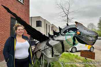 Metershoge draak siert tuin van Lisa en Joshi in Houthalen: “Vuur spuwen doet hij niet”