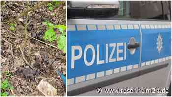 Horror-Fund in Thüringen: Unbekannter entsorgt über zehn tote Welpen an Feldweg