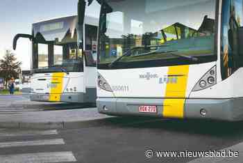Extra bus op Lijn 19 moet druk van ketel halen