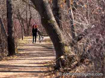 Edmonton weather: High winds and cloudy skies blow us into next week