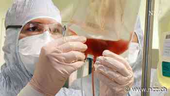 Krebskranke sterben heute oft eher an einem Pilz als wegen ihres Tumors – an Medikamenten dagegen fehlt es