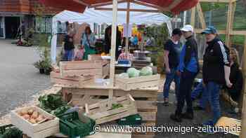 Frühlingsmarkt der Gifhorner Lebenshilfe hat neues Konzept