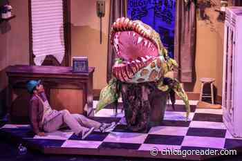 Checking in with ChiArts