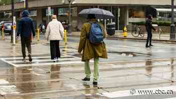 Toronto to see a wet, windy Friday, Environment Canada warns