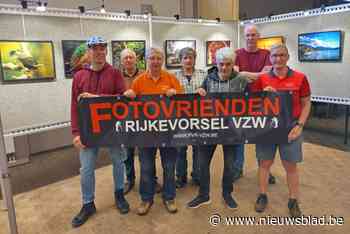 Fotovrienden Rijkevorsel komen na vijf jaar weer naar buiten met tentoonstelling