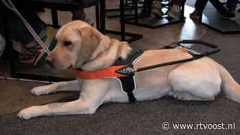 Organisatie Oogvereniging Overijssel trots op eerste Oogdag: "Het voelt echt als iets heel moois"