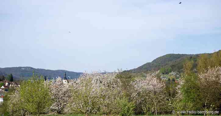 Blütenpracht in Franken