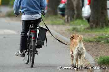 Hund beißt Joggerin - Halterin haut ab