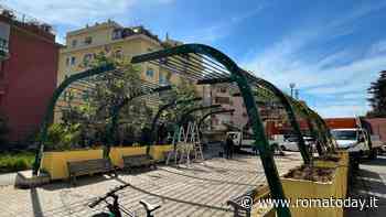 Dieci piante di glicline alla stazione di Appiano