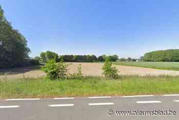 Stad wil woonuitbreidingsgebied omvormen tot open ruimte: “Ontwikkeling zou niet goed zijn voor mobiliteit en toekomstige windturbine”