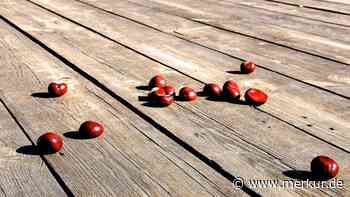 Hartnäckiger Schmutz auf der Holzterrasse – mit diesen Hausmitteln haben Sie keine Probleme mehr