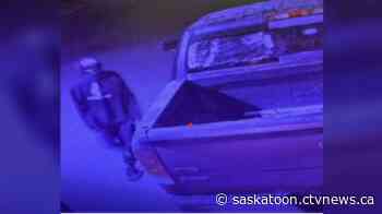 Police hunt suspects after break-in at a Sask. business