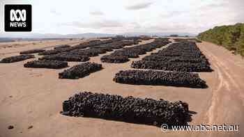 Millions of tyres are illegally piling up across Australia, creating a future problem