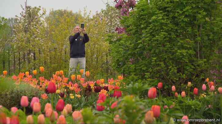 Tuin met 20.000 tulpen is een verborgen pareltje voor Amerikaanse toeristen