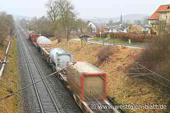 Bagger reparieren restlichen Bahndamm bei Borlinghausen
