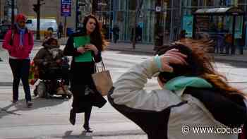 Expect strong winds Friday night in Hamilton, Burlington and the Niagara Region, Environment Canada says