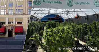 Europol voert wereldwijde actie uit namens de bijna 200 duizend slachtoffers van Juicyfields-oplichting