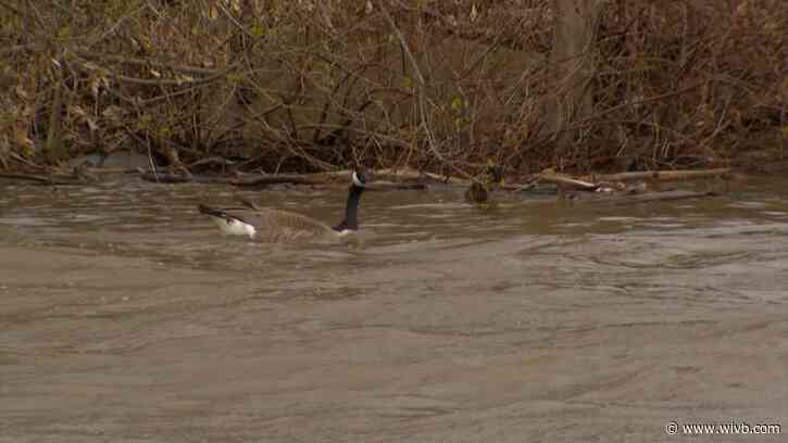 Seneca Nation issues health alert for Allegheny River
